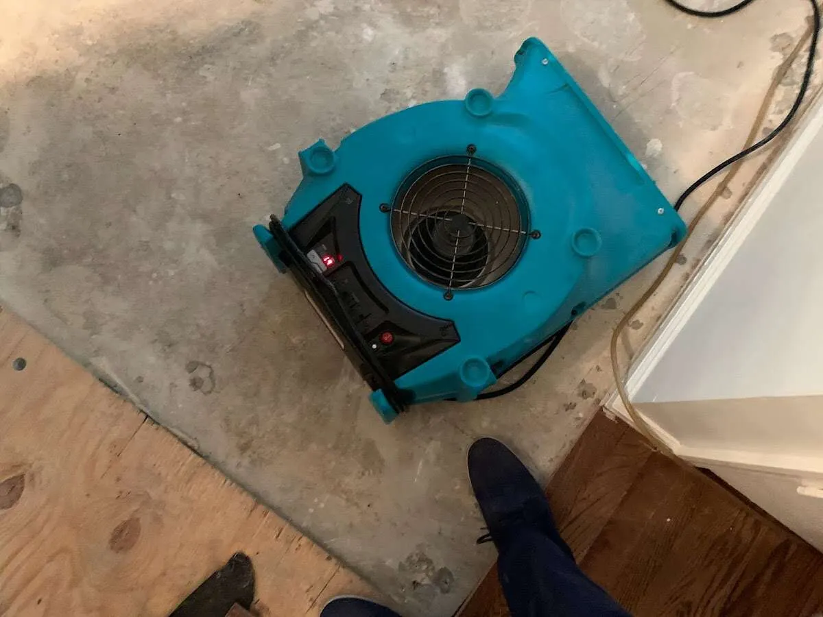 Air mover drying subfloor during Commercial Water Damage Restoration in Bellingham